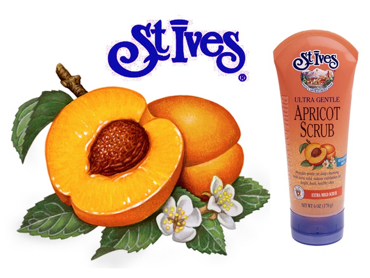 Apricot Illustration for St. Ive's