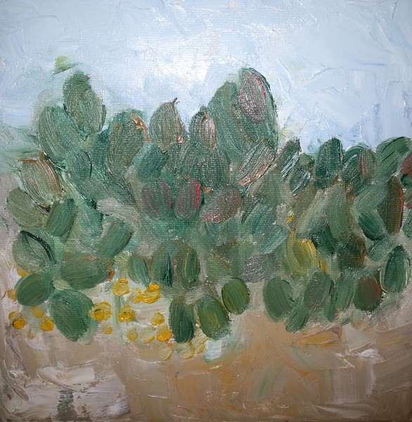 Chrysanthemums and cactus, 2013