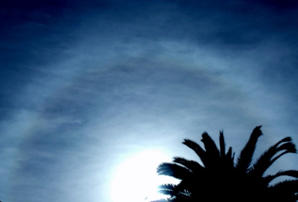 Sun Halo 7