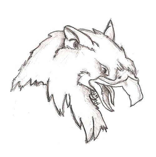 Gryphon Sketch