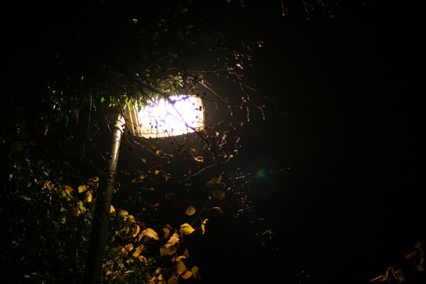 A light in the dark