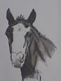 El Caballo Comeindo