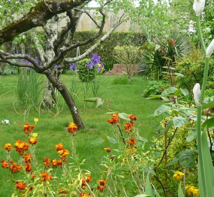 SMALL GARDEN