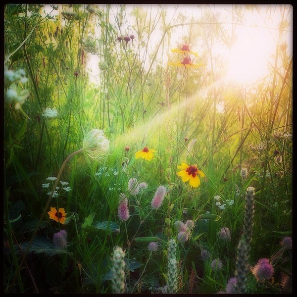 Fairyland