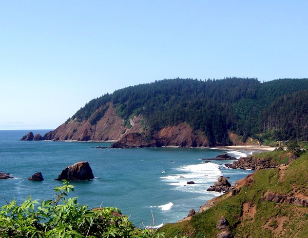 Ocean Beauty