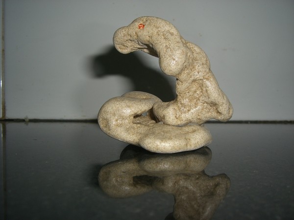 THE DOLPHIN