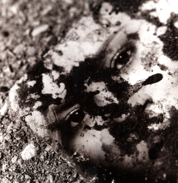Another Face in the Dirt
