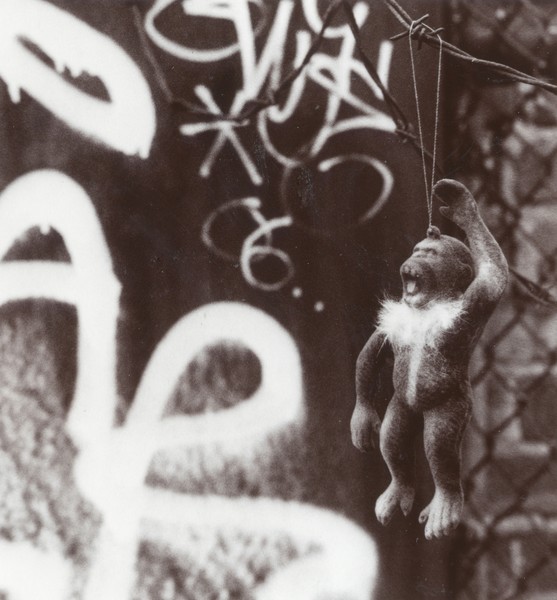 Screaming ape