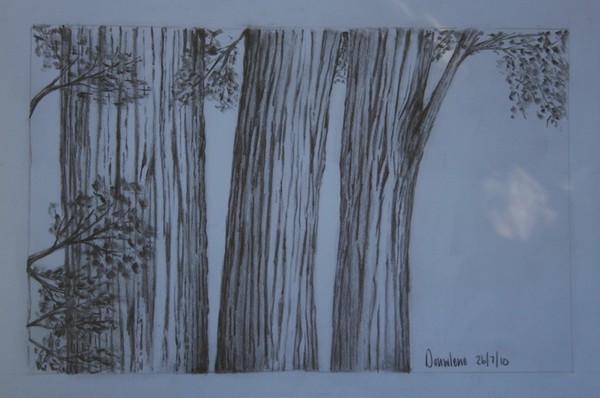 Nearby tree