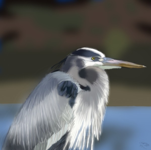 Heron