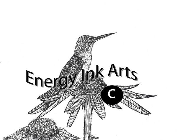 sjkrueger hummingbird on cone watermark