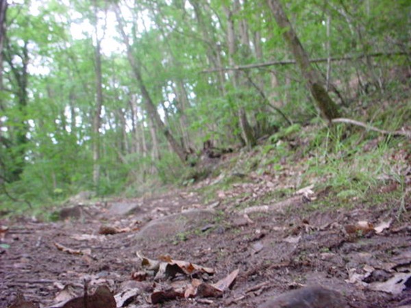 Path