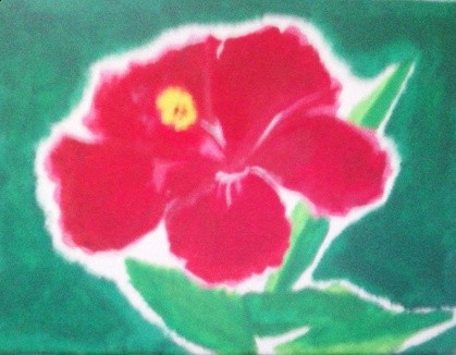 Hibiscus - Hawaiian Collection