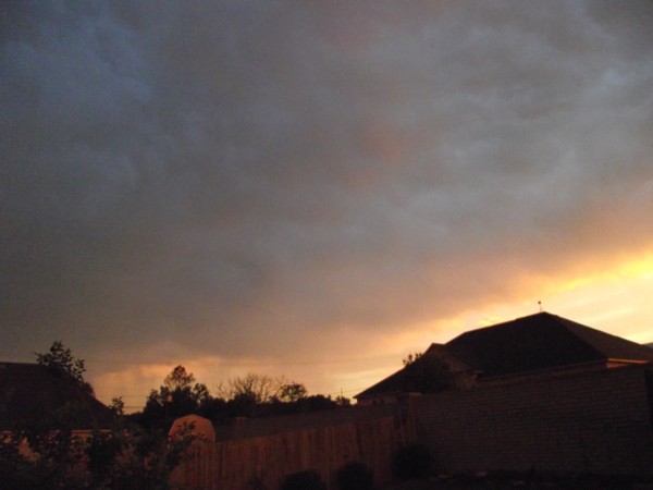 Faces in the Storm