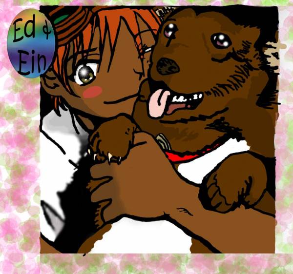 ed and ein 