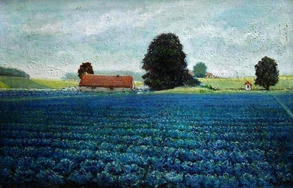 The Cauliflower field