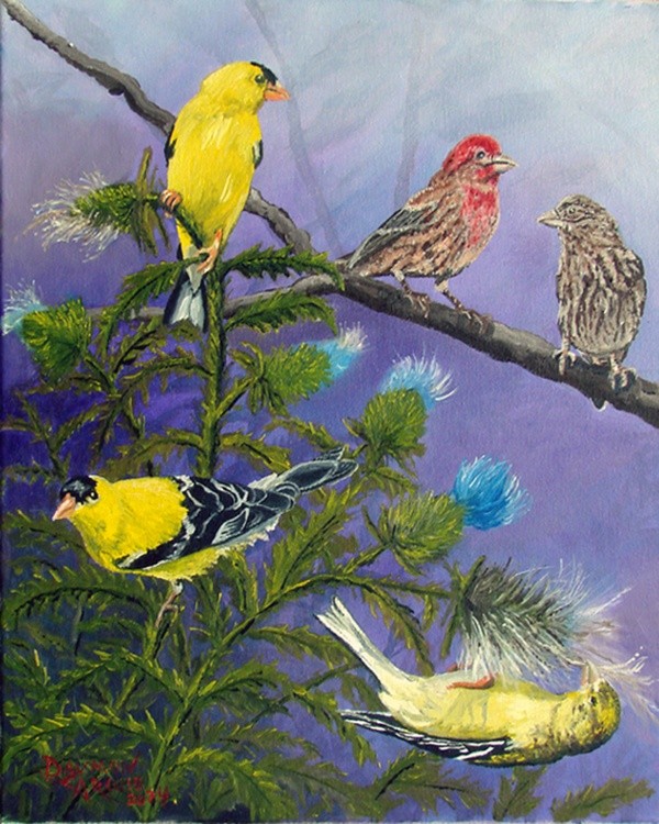 Gold & Red Finches