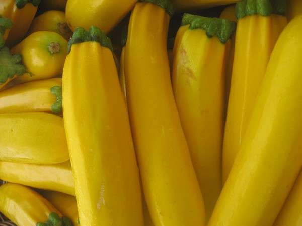 yellow squash