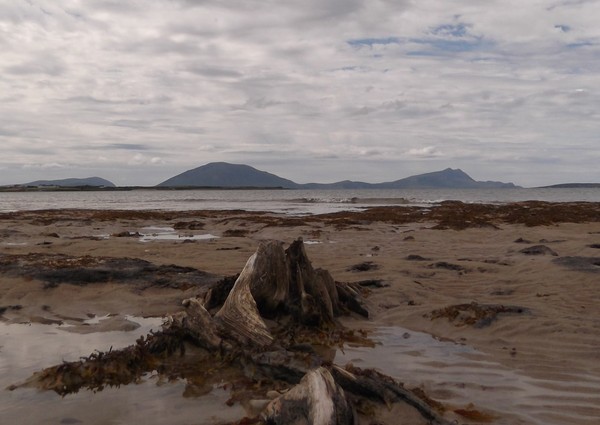 BLACKSOD BAY.