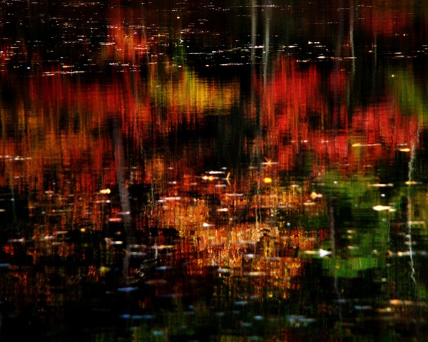 Aurora Arborealis 2260 11x14 Print