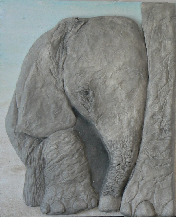 Elephant Baby