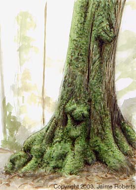 Nature 2