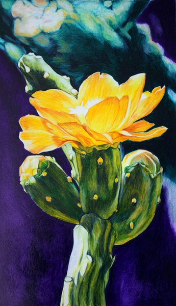 Cactus Flower