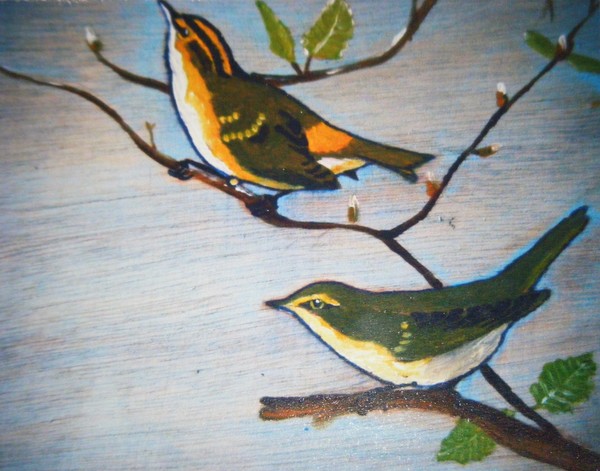 Warblers