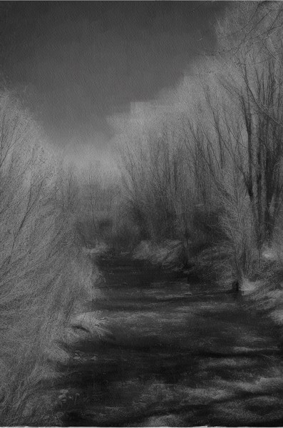 Rio Taos Bosque