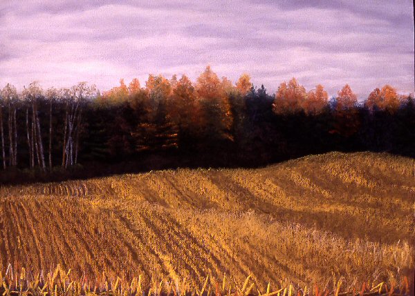 Late Fall Flamborough Ontario