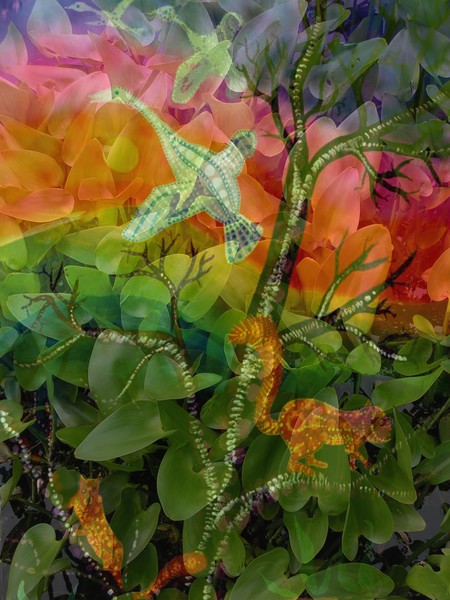 Art meets Nature 07