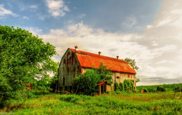 The Barn