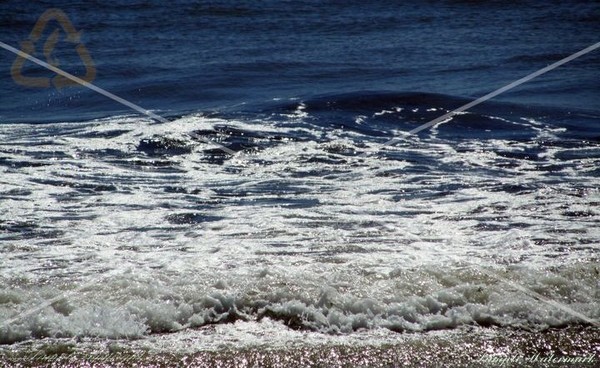 DEEP BLUE WAVE