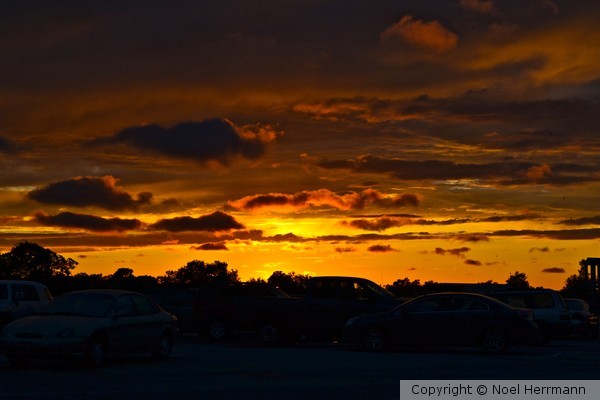 Cars at Sunset