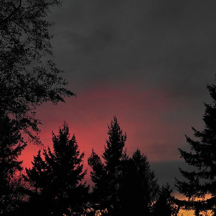 Crimson skies