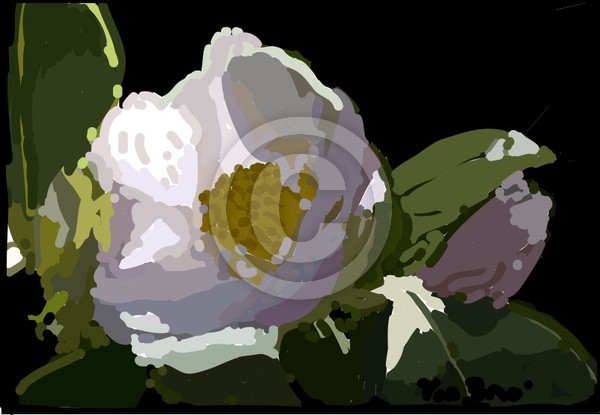floradig9