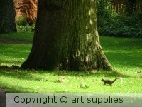The.Squirrel