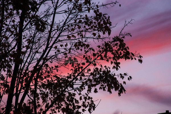 Twilight