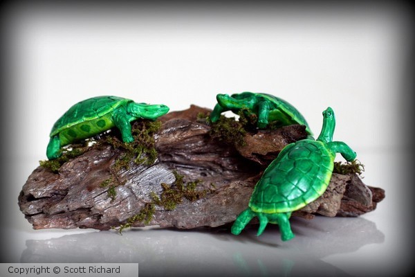 Turtles
