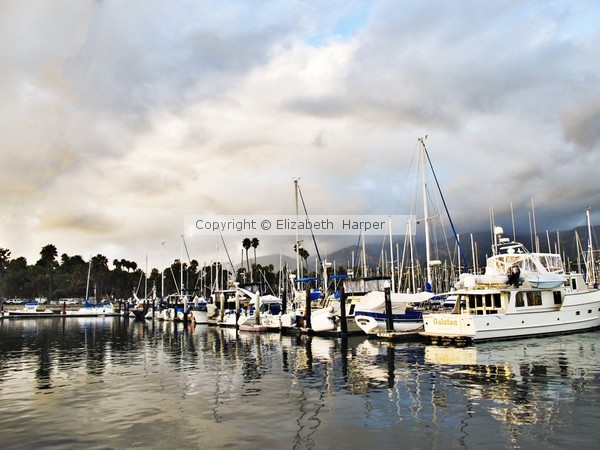 The Harbor