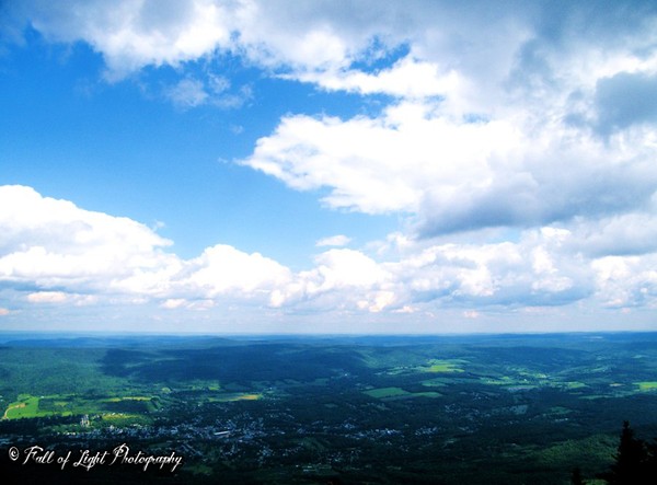 The Outlook