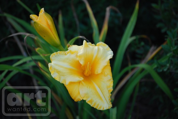 Brighten Up!