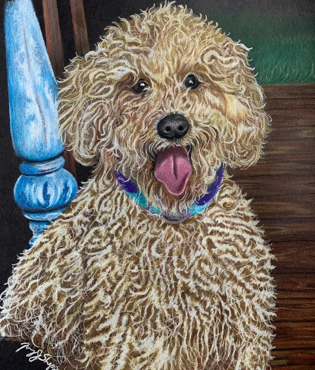 pet portrait commission 