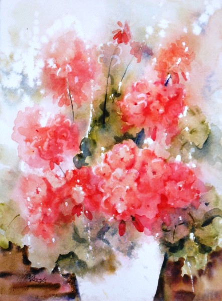 My Geraniums