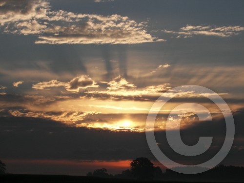 August Sunrise
