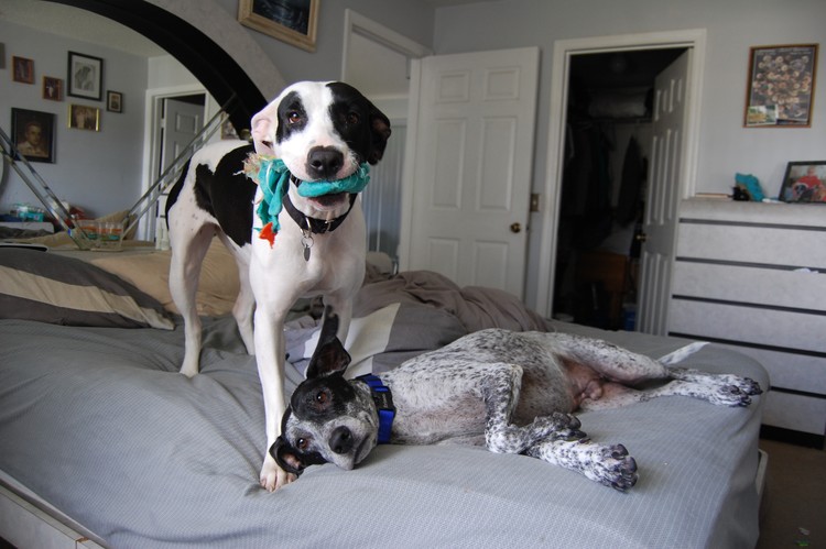 The Kids