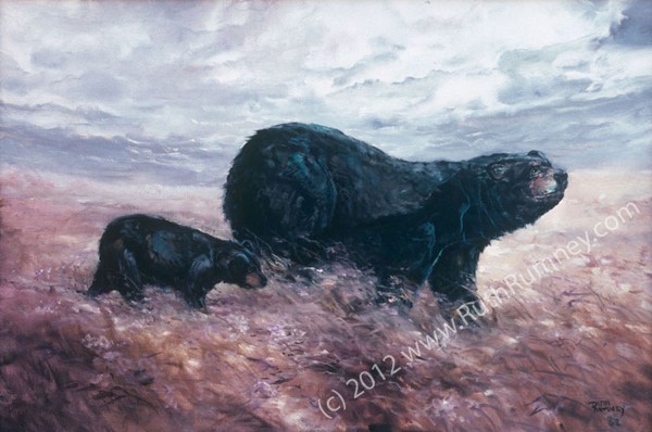 BLACK BEARS-20X30 Art Print