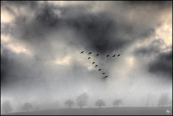 Flying into the Gathering Storm