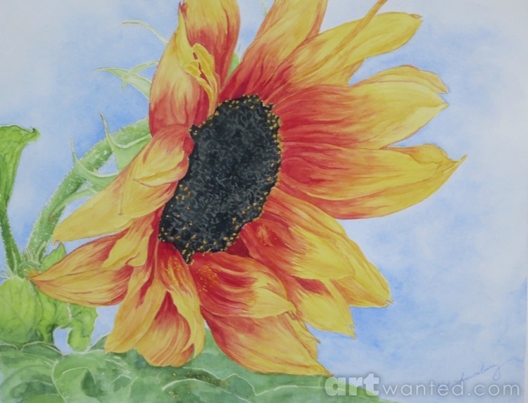 Sunflower Dance
