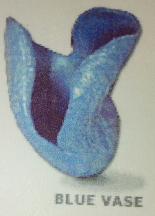 Blue Vase